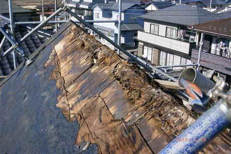 屋根野地板が腐食している