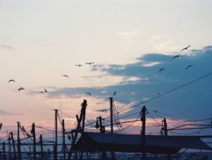 img20160120112654295059.jpg